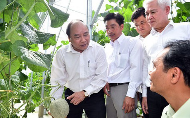 100.000 doanh nghiệp và mục tiêu hàng đầu thế giới về nông sản
