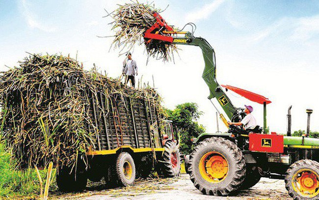 âSÃ³ng ngáº§mâ táº¡i TTC Sugar