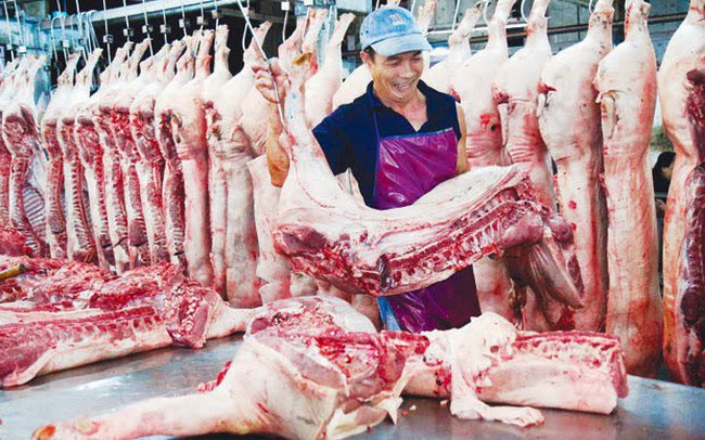 Tiêu hủy hơn nửa triệu con lợn, Hà Nội thiếu gần 100 nghìn tấn thịt