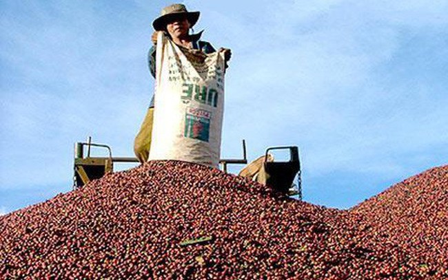 Đứng top đầu thế giới, 10 triệu hộ dân vẫn loanh quanh chợ làng Đứng top đầu thế giới, 10 triệu hộ dân vẫn loanh quanh chợ làng