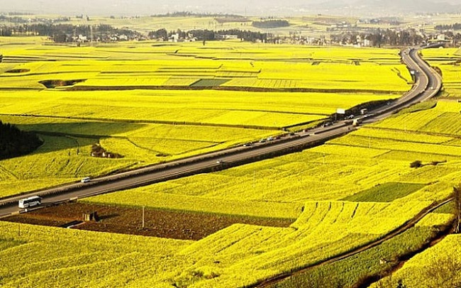 Ninh Bình chuyển mục đích sử dụng hơn 78ha đất tại tỉnh Ninh Bình