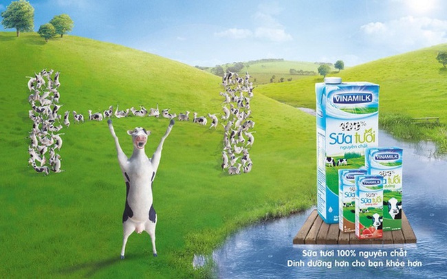 Vinamilk: Lãi ròng 2019 tăng 3,5% lên 10.581 tỷ đồng, nắm giữ hơn 15.000 tỷ đồng tiền gửi