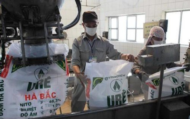 Đạm Hà Bắc (DHB) lỗ tiếp 636 tỷ đồng năm 2019, đã âm vốn chủ sở hữu