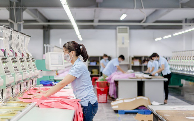 May Sông Hồng báo lãi 452 tỷ đồng trong năm 2019 tăng 22% so với 2018