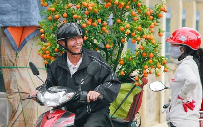 Cận Tết, dịch vụ shipper chuyển cây cảnh Tết kiếm tiền triệu mỗi ngày