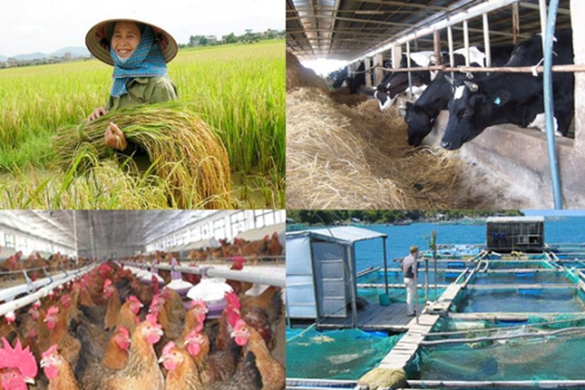 Tiền đổ vào nông nghiệp gấp hơn 2 lần vào bất động sản