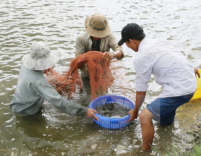 Chính phủ phê duyệt chủ trương đầu tư 21 chương trình mục tiêu