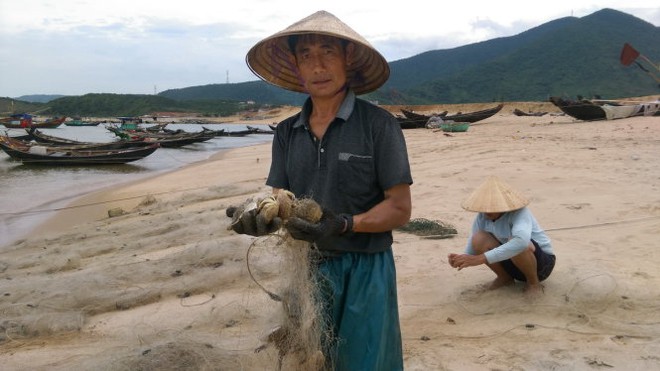 Cuối tháng 8 công bố “ăn cá được chưa”