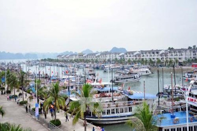 Quảng Ninh: Tập đoàn Tuần Châu thu phí qua cảng đối với khách du lịch là bất hợp lý?