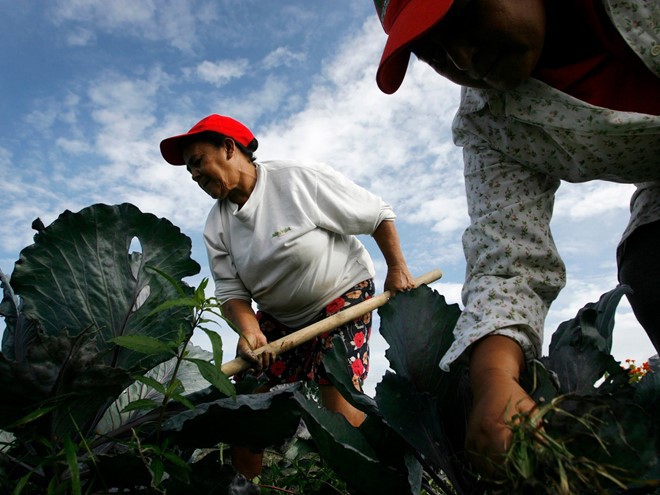 Venezuela buộc dân làm nông dân để chống đói