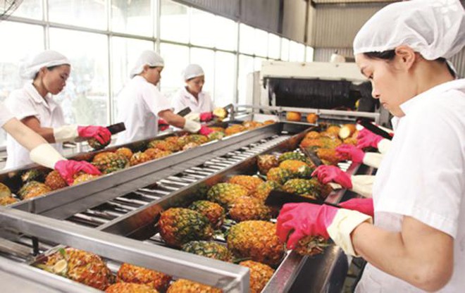 Cơ hội mở rộng thị trường cho rau quả Việt Nam
