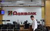 Agribank xiết nợ đất và quyền khai thác khoáng sản của Công ty Khoáng sản Miền Trung tại Bình Định