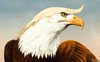 Nhìn lại chính sách ngoại giao của ông Trump tròn 1 năm sau đắc cử
