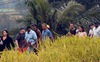 Gia đình cựu Tổng thống Obama đi dạo giữa cánh đồng lúa trong kỳ nghỉ dưỡng tại Indonesia
