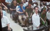 Phiên tòa chiều 20/9: Cựu TGĐ BSC Phạm Hoàng Giang mong được trở về chữa bệnh cho con