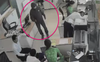 Hà Nội: Tên cướp lao vào ngân hàng giật 200 triệu đồng của người phụ nữ mang tiền đi gửi