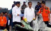 Rơi máy bay Indonesia: Chiếc Boeing tông phải 