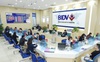 NHNN mạnh tay nới lỏng tiền tệ, bao giờ thị trường mới...