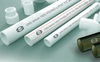 Nhựa Tiền Phong (NTP) dự chi trăm tỷ trả cổ tức đợt 1 năm 2019 bằng tiền