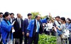 Thủ tướng Nguyễn Xuân Phúc dự lễ hội hoa sen, mượn ca dao thay lời chúc cho quan hệ Việt – Nhật