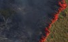 8,2 tỷ USD đang có nguy cơ cháy rụi cùng rừng Amazon