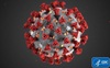 Bloomberg: Trung Quốc có dữ liệu sớm về virus corona nhưng 2 tuần sau mới công bố