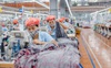 May Sông Hồng (MSH): Quý 1/2020 chưa bị ảnh hưởng bởi dịch virus Covid-19, sang quý 2 đối mặt nguy cơ hụt hàng, thậm chí có thể thay đổi kế hoạch cả năm