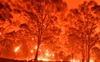 Australia cấp gói cứu trợ 76 triệu AUD cho ngành du lịch sau cháy rừng