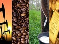 Market November 20: The minimum price of 2 year rubber, the lowest 4 sterile months