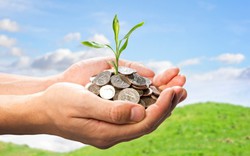 DPG, HDG, HRC, MDG, TTJ, TCS, LIG, TNA, TGG, DIC, CNN, VDL, VNT, SPV, KTT, BTH: Thông tin giao dịch lượng lớn cổ phiếu DPG, HDG, HRC, MDG, TTJ, TCS, LIG, TNA, TGG, DIC, CNN, VDL, VNT, SPV, KTT, BTH: Thông tin giao dịch lượng lớn cổ phiếu