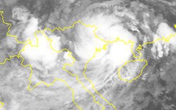 Bão số 3 đã đổ bộ, gây mưa rất to