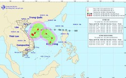Áp thấp nhiệt đới mạnh thành bão số 5 hướng vào Quảng Trị - Quảng Ngãi