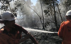 Cháy lớn trên bán đảo Sơn Trà, hơn 8 hecta rừng bị thiêu rụi