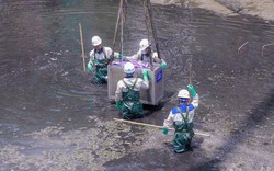 Nước Hồ Tây cuốn trôi kết quả thử nghiệm ở sông Tô Lịch: 'Không thể nói một việc'