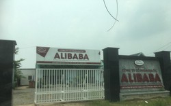 Lãnh đạo bị bắt, Alibaba ở Đồng Nai hoạt động ra sao?