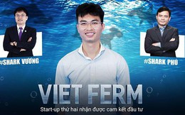 Gặp gỡ Trần Tâm Phương, chàng trai bán dấm huy động thành công 4 tỷ đồng từ nhà đầu tư chỉ sau 15 phút thuyết phục