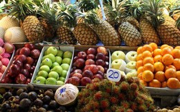 Nhập khẩu rau quả vượt mốc 1 tỷ USD, Thái Lan chiếm 60% thị phần