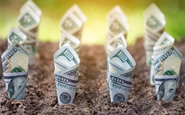 CGV muốn đầu tư thêm 200 triệu USD trong 3 năm tới