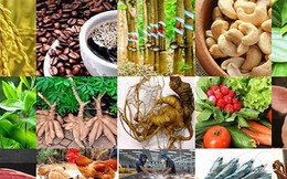 15 sản phẩm nông nghiệp được đề xuất là sản phẩm chủ lực quốc gia 15 sản phẩm nông nghiệp được đề xuất là sản phẩm chủ lực quốc gia