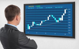Sắc xanh lan tỏa đều khắp thị trường, Vn-Index đảo chiều tăng hơn 4 điểm trong phiên đầu tuần Sắc xanh lan tỏa đều khắp thị trường, Vn-Index đảo chiều tăng hơn 4 điểm trong phiên đầu tuần
