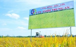 Đối tác cung cấp gạo vào siêu thị Vinmart chuẩn bị niêm yết trên sàn chứng khoán Đối tác cung cấp gạo vào siêu thị Vinmart chuẩn bị niêm yết trên sàn chứng khoán