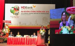 HDBank trình cổ đông thông qua việc sáp nhập PGBank HDBank trình cổ đông thông qua việc sáp nhập PGBank