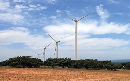 Dự án FDI đang ngày càng “còi cọc"? Dự án FDI đang ngày càng “còi cọc"?
