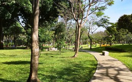Thủ Đức sẽ thu hồi đất công làm công viên, trường học Thủ Đức sẽ thu hồi đất công làm công viên, trường học