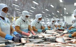 Trung Quốc sắp trở thành nhà nhập khẩu thuỷ sản lớn nhất của Việt Nam? Trung Quốc sắp trở thành nhà nhập khẩu thuỷ sản lớn nhất của Việt Nam?
