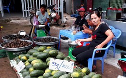 Trái cây ĐBSCL lũ lượt tuột giá chạm đáy: Có cần một cuộc “giải cứu”? Trái cây ĐBSCL lũ lượt tuột giá chạm đáy: Có cần một cuộc “giải cứu”?