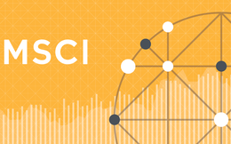 MSCI chưa đưa Việt Nam vào danh sách nâng hạng thị trường năm 2018 MSCI chưa đưa Việt Nam vào danh sách nâng hạng thị trường năm 2018