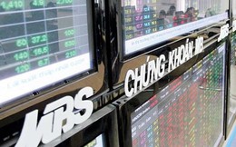MBS báo lãi trước thuế 138 tỷ đồng sau 6 tháng, hoàn thành 86% kế hoạch năm 2018 MBS báo lãi trước thuế 138 tỷ đồng sau 6 tháng, hoàn thành 86% kế hoạch năm 2018