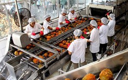 Bỏ mặc những lùm xùm về việc phát hành riêng lẻ, chiếu xạ An Phú tiếp tục báo lãi lớn trong quý 2 Bỏ mặc những lùm xùm về việc phát hành riêng lẻ, chiếu xạ An Phú tiếp tục báo lãi lớn trong quý 2