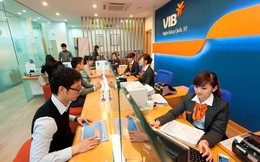 VIB báo lãi đột biến gấp 3 lần cùng kỳ, tỷ lệ nợ xấu giảm xuống 2,33% VIB báo lãi đột biến gấp 3 lần cùng kỳ, tỷ lệ nợ xấu giảm xuống 2,33%
